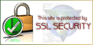 ssl_security_logo
